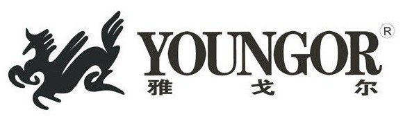 雅戈爾.jpg